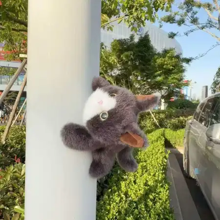 Extraordinary baby, soft and fragrant, German cat fridge magnets, grey plush cat dolls, plush toys, cute cat plush toys, car dolls, souvenirs Extraordinary baby, soft and fragrant, German cat fridge magnets, grey plush cat dolls, plush toys, cute cat plush toys, car dolls, souvenirs